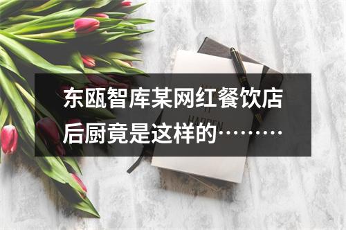 东瓯智库某网红餐饮店后厨竟是这样的………