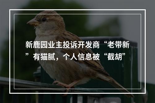 新鹿园业主投诉开发商“老带新”有猫腻，个人信息被“截胡”