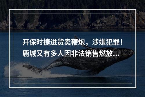 开保时捷进货卖鞭炮，涉嫌犯罪！鹿城又有多人因非法销售燃放烟花爆竹被查！