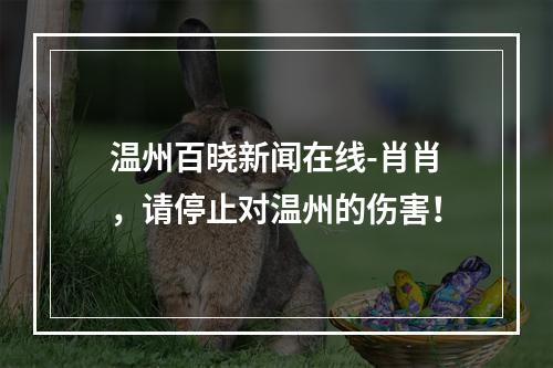 温州百晓新闻在线-肖肖，请停止对温州的伤害！