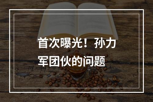 首次曝光！孙力军团伙的问题