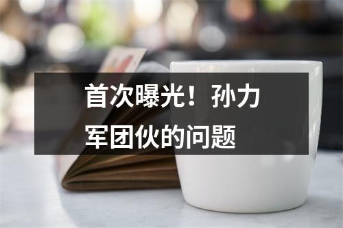首次曝光！孙力军团伙的问题