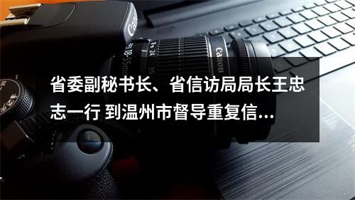 省委副秘书长、省信访局局长王忠志一行 到温州市督导重复信访治理工作