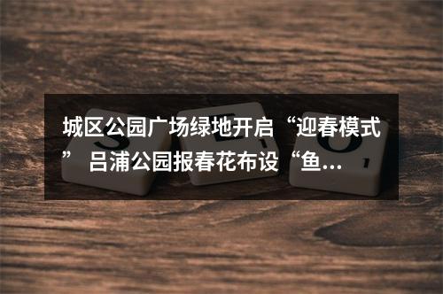 城区公园广场绿地开启“迎春模式” 吕浦公园报春花布设“鱼跃龙门”