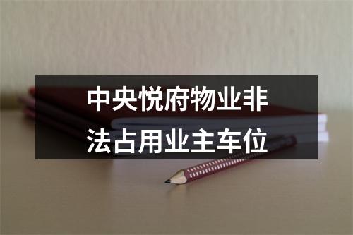 中央悦府物业非法占用业主车位
