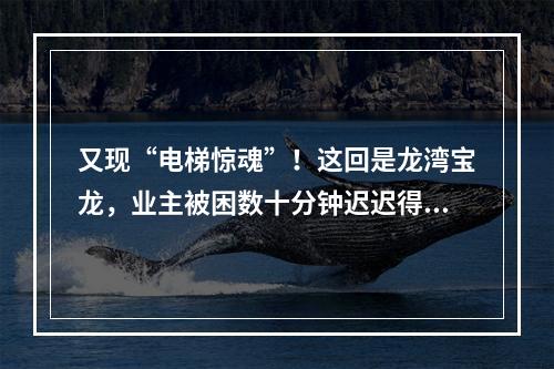 又现“电梯惊魂”！这回是龙湾宝龙，业主被困数十分钟迟迟得不到救助