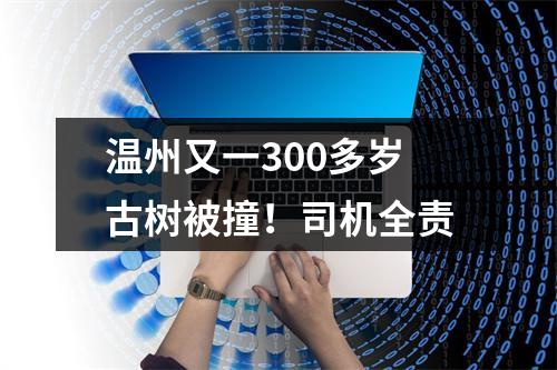 温州又一300多岁古树被撞！司机全责