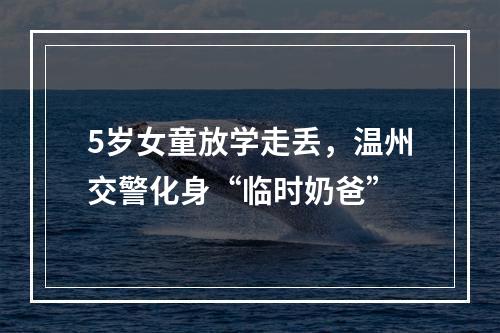 5岁女童放学走丢，温州交警化身“临时奶爸”
