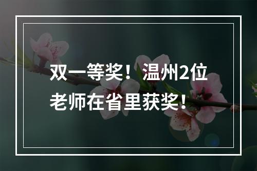 双一等奖！温州2位老师在省里获奖！