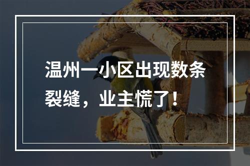 温州一小区出现数条裂缝，业主慌了！