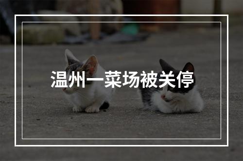 温州一菜场被关停