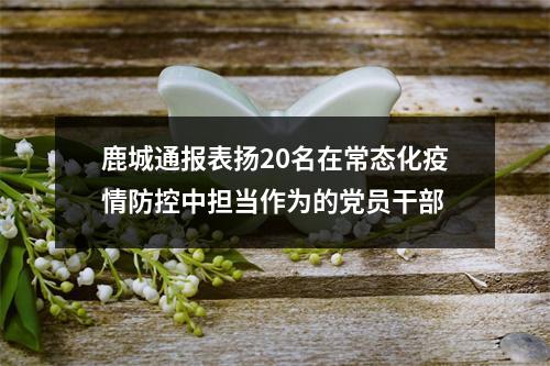 鹿城通报表扬20名在常态化疫情防控中担当作为的党员干部