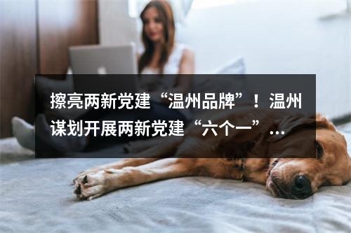 擦亮两新党建“温州品牌”！温州谋划开展两新党建“六个一”系列活动