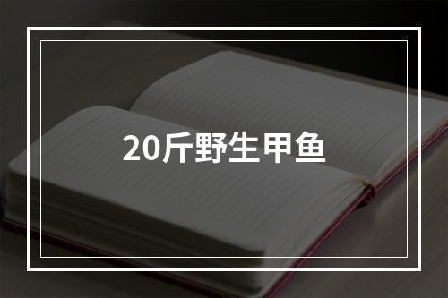 20斤野生甲鱼