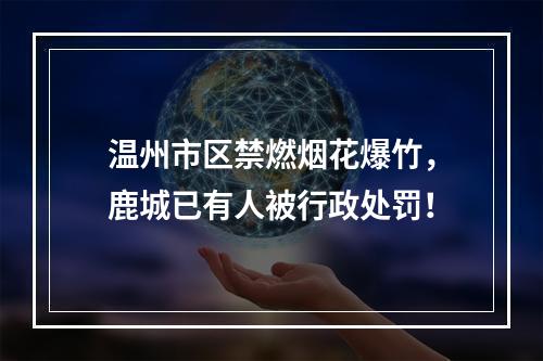 温州市区禁燃烟花爆竹，鹿城已有人被行政处罚！