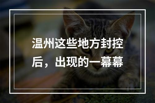 温州这些地方封控后，出现的一幕幕