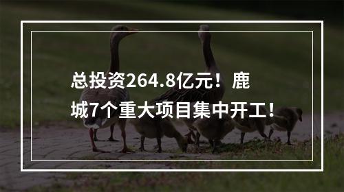 总投资264.8亿元！鹿城7个重大项目集中开工！