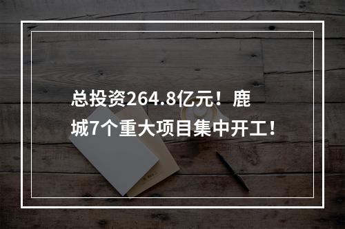 总投资264.8亿元！鹿城7个重大项目集中开工！