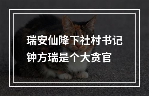 瑞安仙降下社村书记钟方瑞是个大贪官