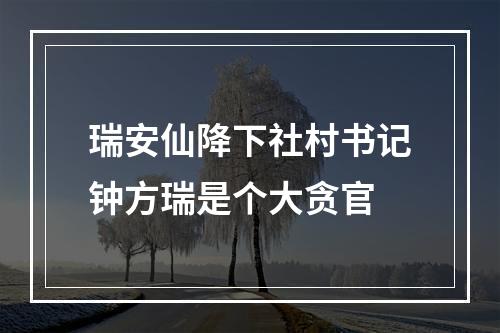 瑞安仙降下社村书记钟方瑞是个大贪官