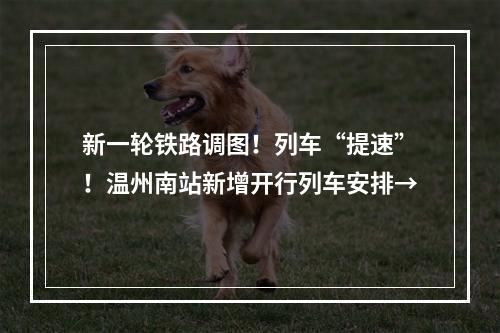 新一轮铁路调图！列车“提速”！温州南站新增开行列车安排→