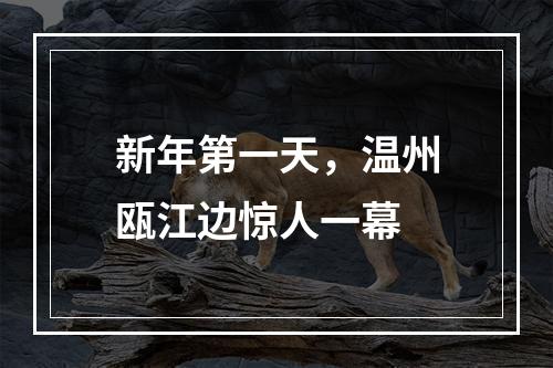 新年第一天，温州瓯江边惊人一幕
