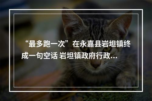 “最多跑一次”在永嘉县岩坦镇终成一句空话 岩坦镇政府行政审批乱象剖析