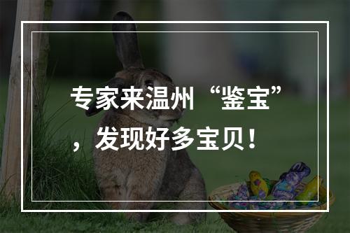 专家来温州“鉴宝”，发现好多宝贝！
