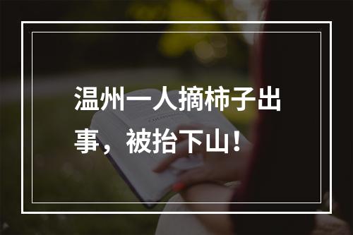 温州一人摘柿子出事，被抬下山！