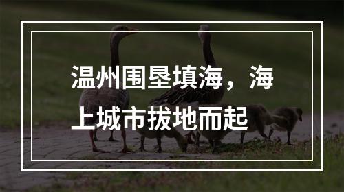 温州围垦填海，海上城市拔地而起
