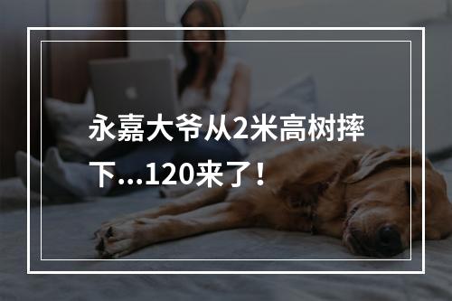 永嘉大爷从2米高树摔下...120来了！
