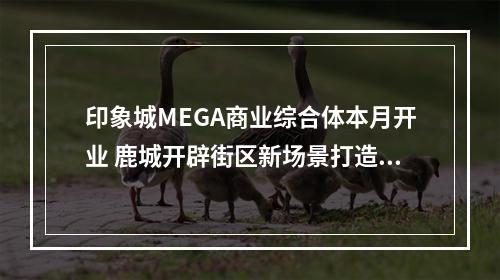 印象城MEGA商业综合体本月开业 鹿城开辟街区新场景打造消费新中心