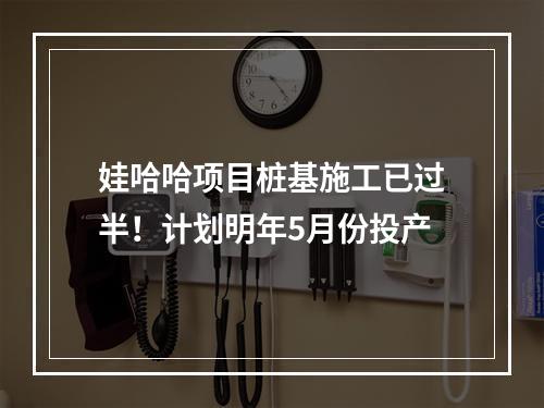 娃哈哈项目桩基施工已过半！计划明年5月份投产