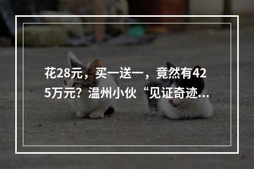 花28元，买一送一，竟然有425万元？温州小伙“见证奇迹”