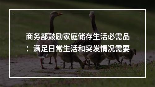 商务部鼓励家庭储存生活必需品：满足日常生活和突发情况需要