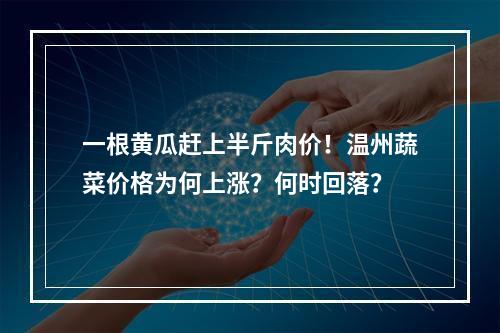 一根黄瓜赶上半斤肉价！温州蔬菜价格为何上涨？何时回落？