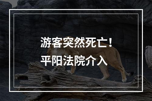 游客突然死亡！平阳法院介入