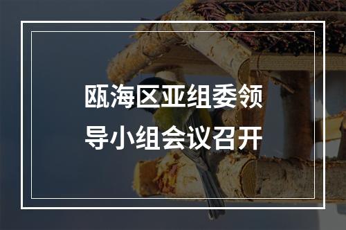 瓯海区亚组委领导小组会议召开
