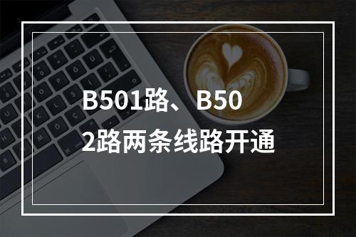 B501路、B502路两条线路开通