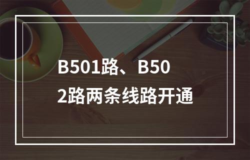B501路、B502路两条线路开通