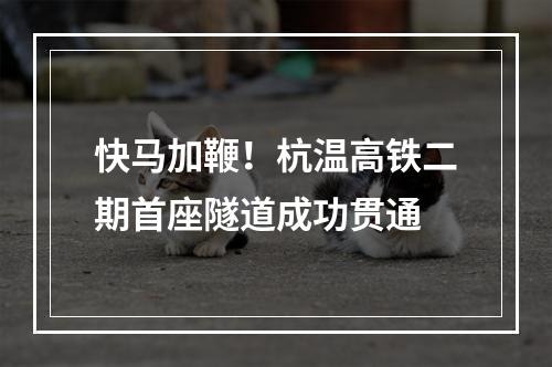 快马加鞭！杭温高铁二期首座隧道成功贯通