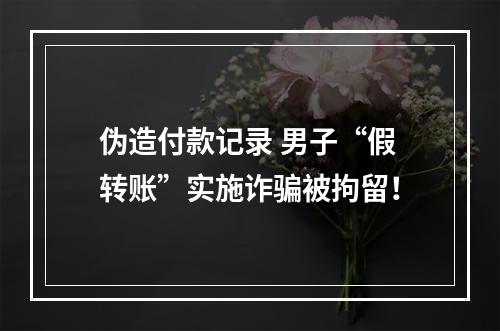 伪造付款记录 男子“假转账”实施诈骗被拘留！