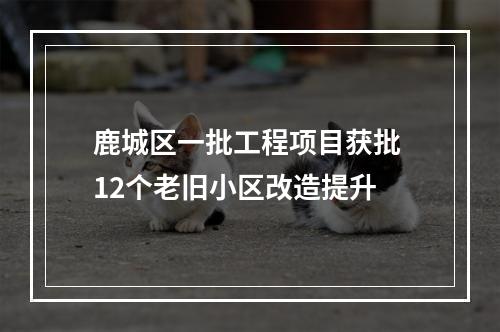 鹿城区一批工程项目获批 12个老旧小区改造提升