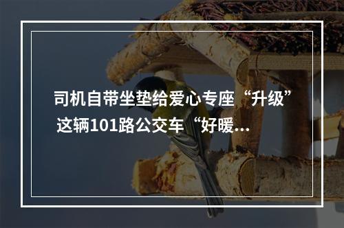 司机自带坐垫给爱心专座“升级” 这辆101路公交车“好暖好温馨”