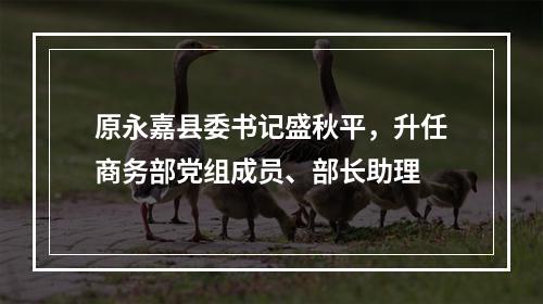 原永嘉县委书记盛秋平，升任商务部党组成员、部长助理