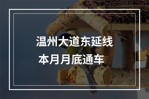 温州大道东延线 本月月底通车
