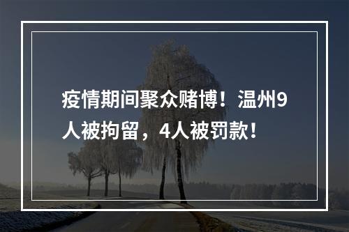 疫情期间聚众赌博！温州9人被拘留，4人被罚款！
