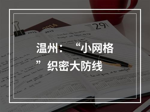 温州：“小网格”织密大防线