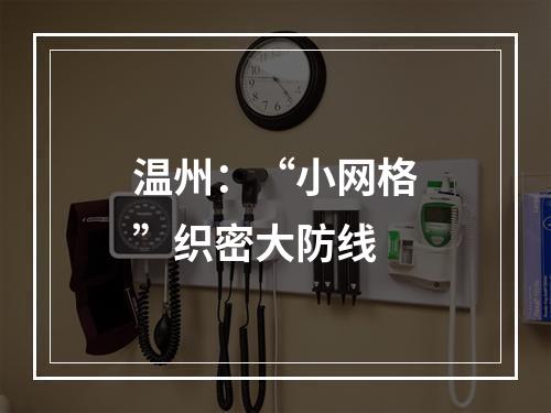 温州：“小网格”织密大防线