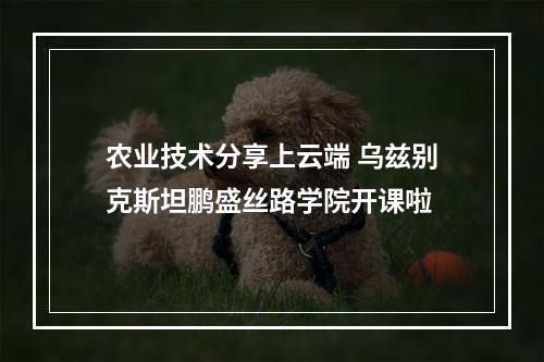 农业技术分享上云端 乌兹别克斯坦鹏盛丝路学院开课啦